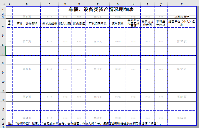 车辆、设备类资产情况明细表