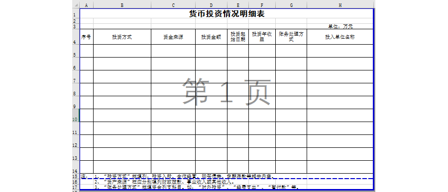 货币投资情况明细表