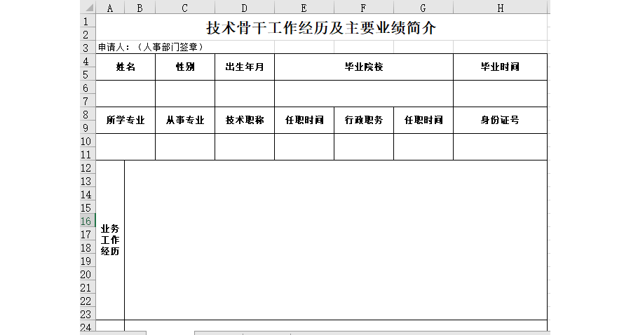 技术骨干工作经历及主要业绩简介
