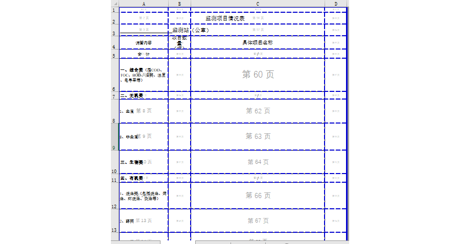 监测项目情况表