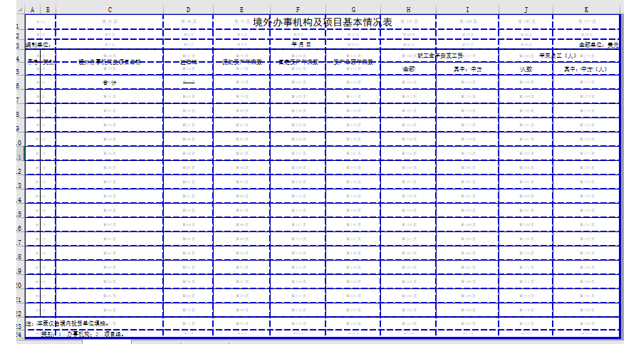 境外办事机构及项目基本情况表